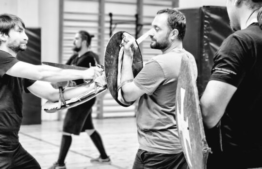 Šerm mečem a štítem