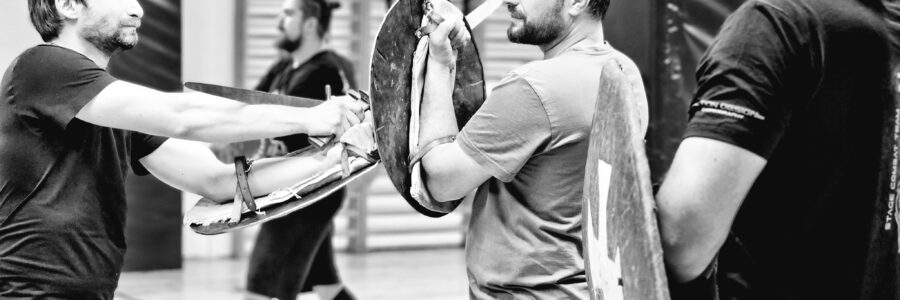 Šerm mečem a štítem